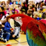 Benefits Of School Assemblies - Main Image