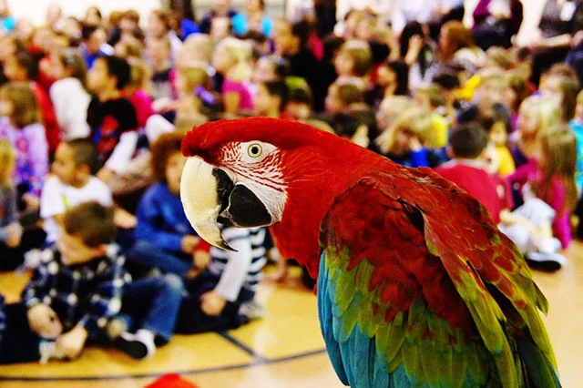 Benefits Of School Assemblies - Main Image