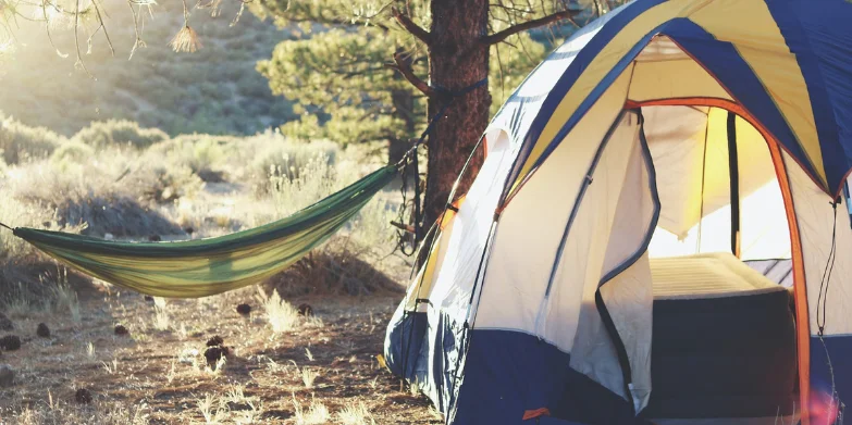 Types of Summer camp