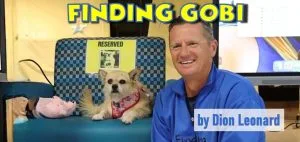 Finding Gobi by Dion Leonard
